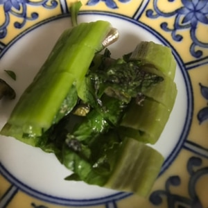 おうちで簡単 高菜の漬物 レシピ 作り方 By わんこが生きがい 楽天レシピ おうちで簡単 高菜の漬物 レシピ 作り方 By わんこが生きがい 楽天レシピ